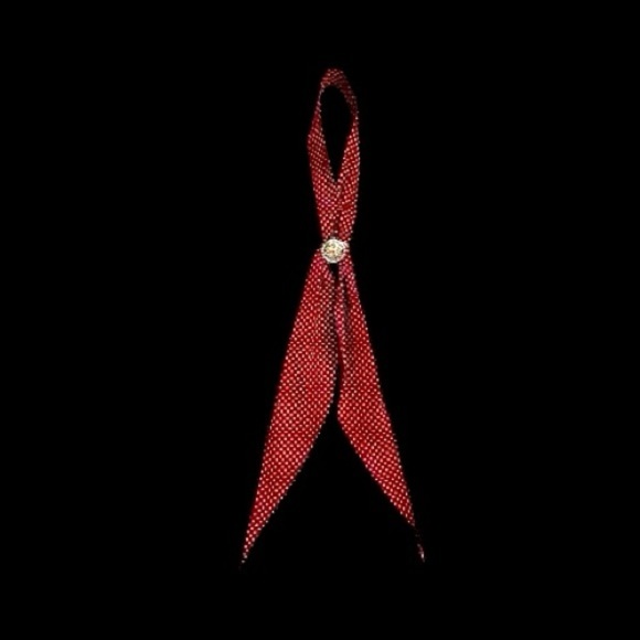 BOLO TIE & 1 1/4”, ROUND, SILVER/GOLD SCARF SLIDER. 48” SCARF IS DEEP RED COLOR - Picture 10 of 10